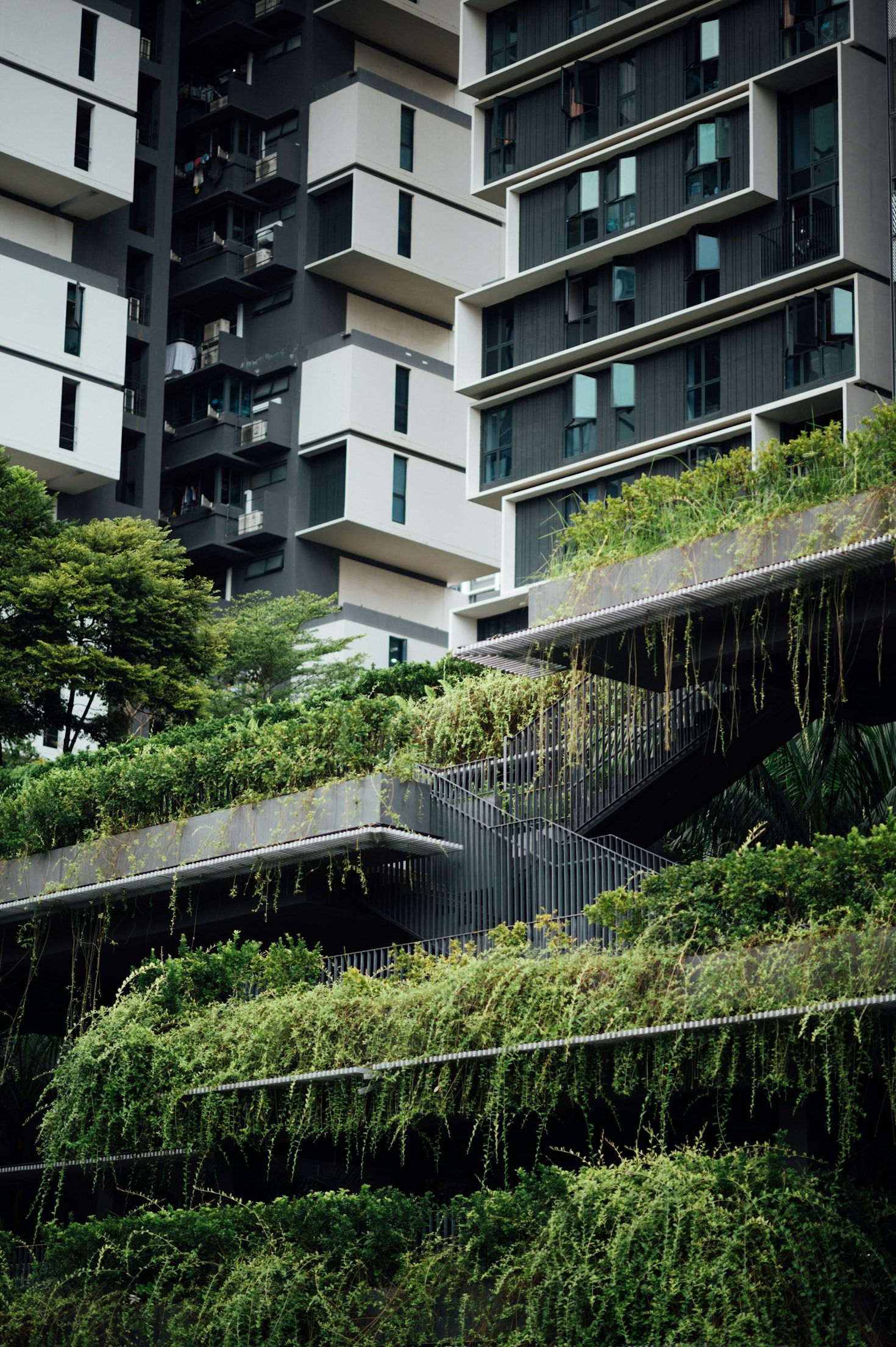 Arquitetura sustentável em harmonia com solo
